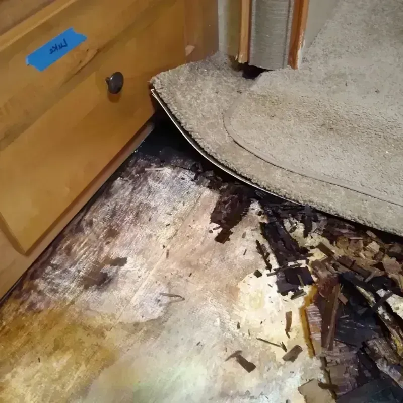 Wood Floor Water Damage in Niceville, FL